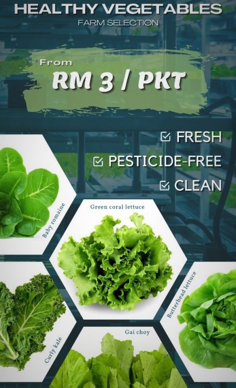 Healthy Vegetable